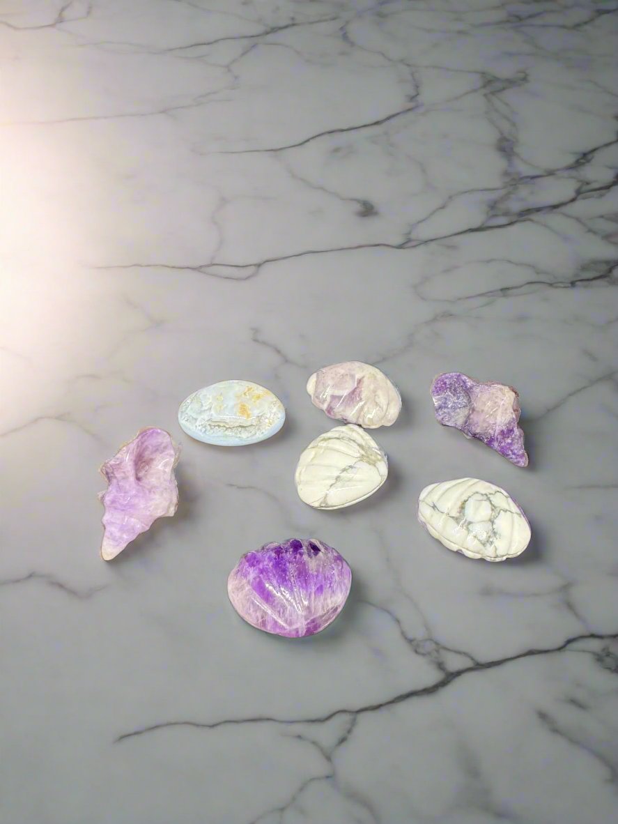 Asst. Mini Sea Shells