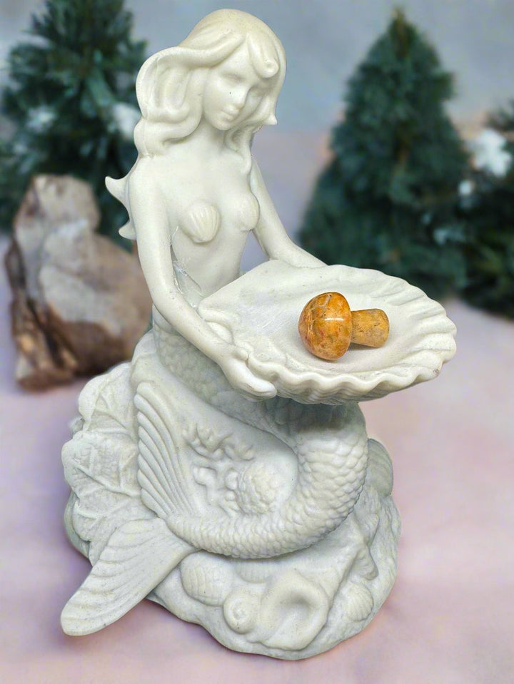 Crazy Lace Agate Mushroom