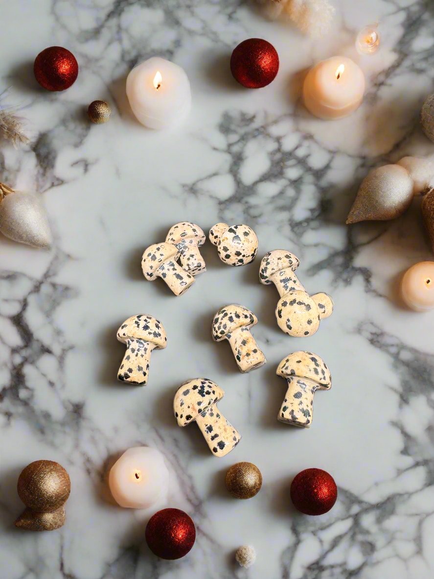 Dalmatian Jasper Mini Mushrooms