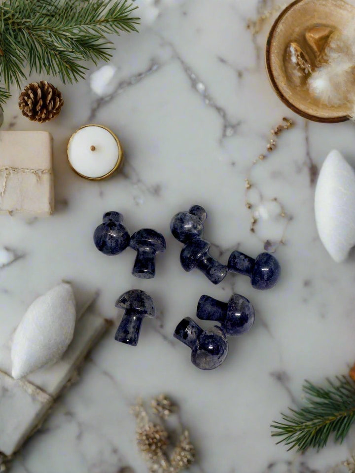 Larvikite Mini Mushrooms