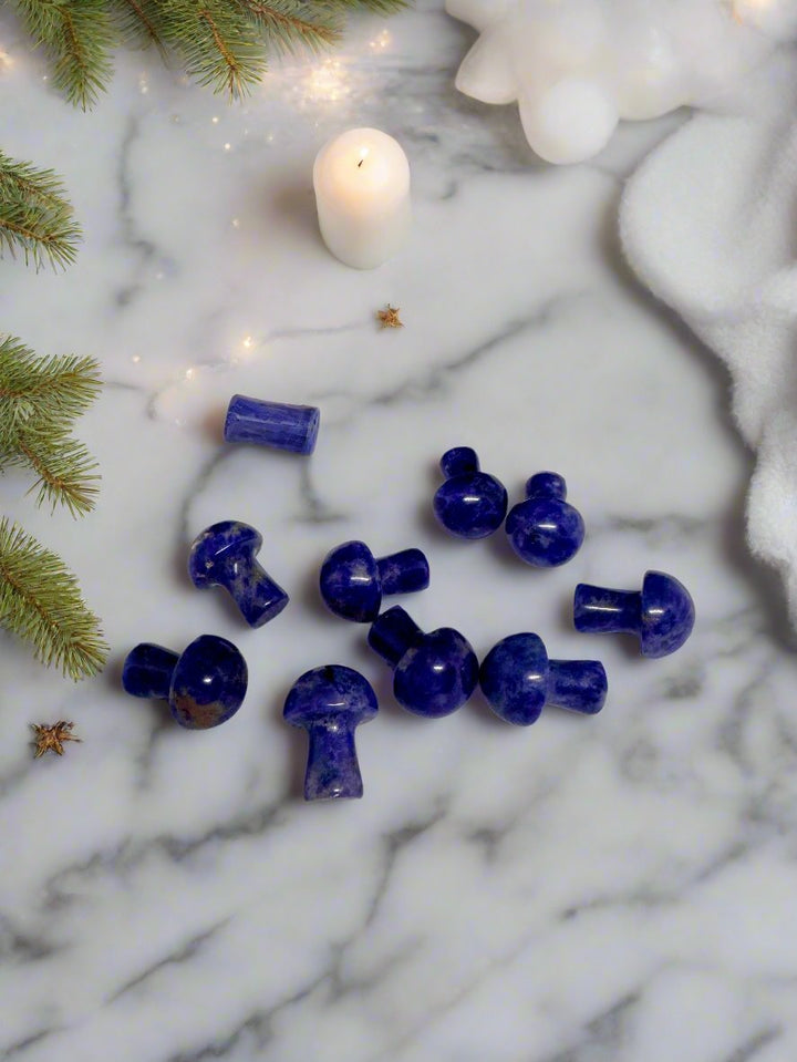 Sodalite Mini Mushrooms