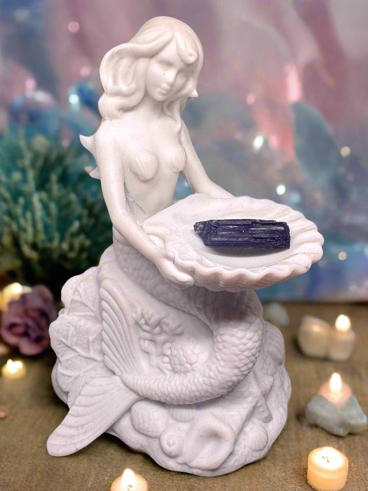 Black Tourmaline Tumble (Small RAW)